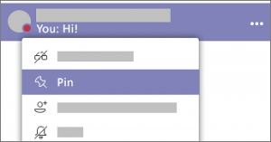 A screen capture showing the Pin option on the Chat menu