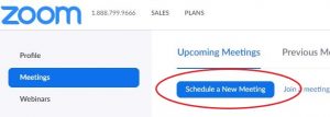 Image of Schedule a New Meeting button