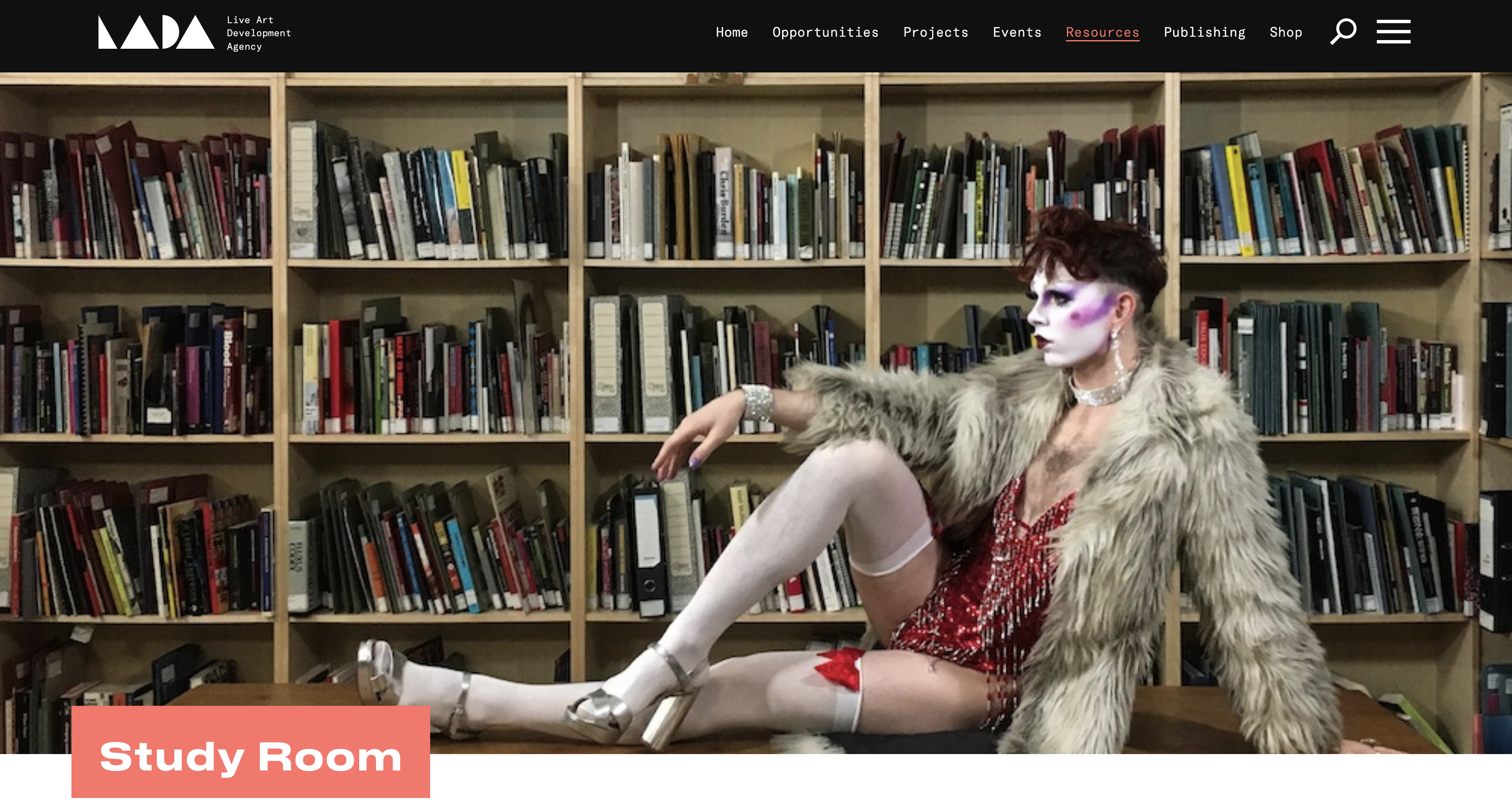 Snapshot of a webpage - LADA, The Study Room
